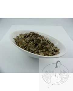 Brombeerblätter