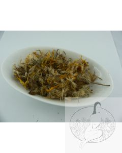 Arnikablüten, ganz