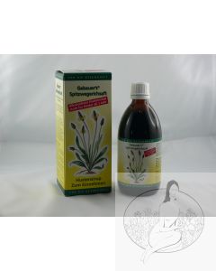 Spitzwegerich-Saft Gebauer's 250ml jetzt Weber mit leicht geänderter Rezeptur
